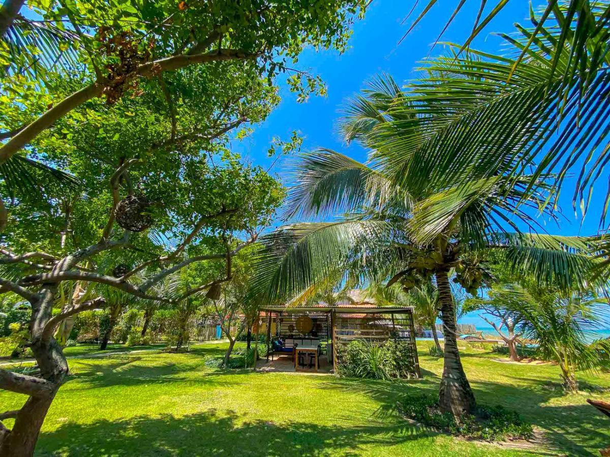 Pousada Villa Tatuamunha Ngoại thất bức ảnh